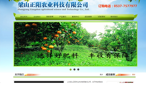 正阳农业公司官网